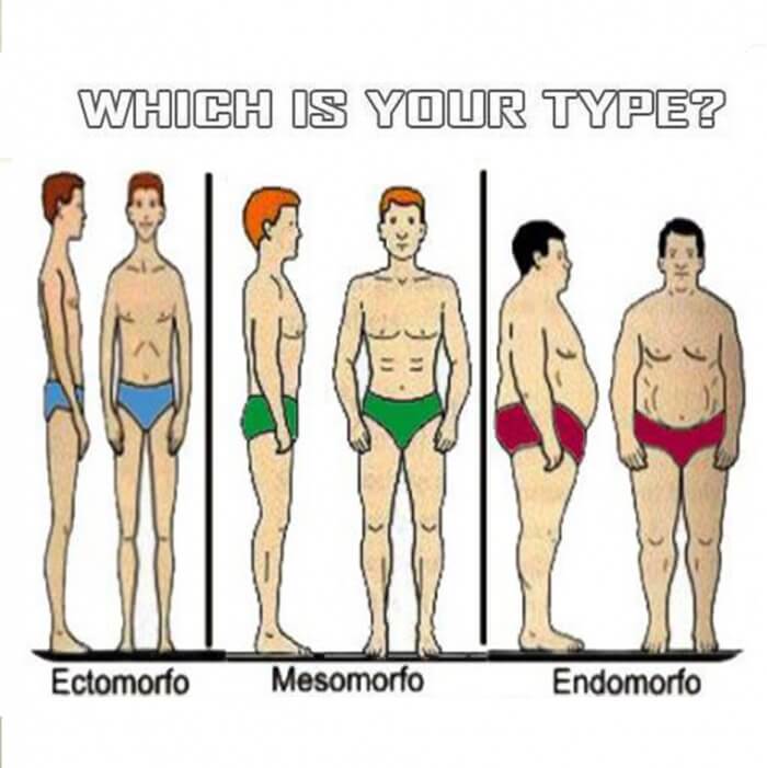 Mens Fitness Tipos De Cuerpos Ectomorfo Mesomorfo Y Endomorfo Buscar Porn Sex Picture